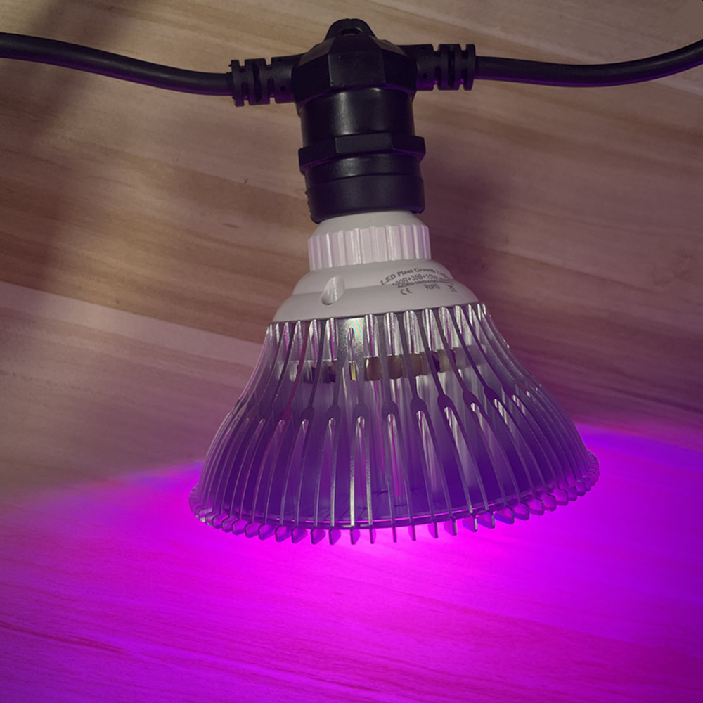 10 メートルケーブル LED ストリング商用グレード防水  - Outdoor Lighting Manufacturers のレビューと価格