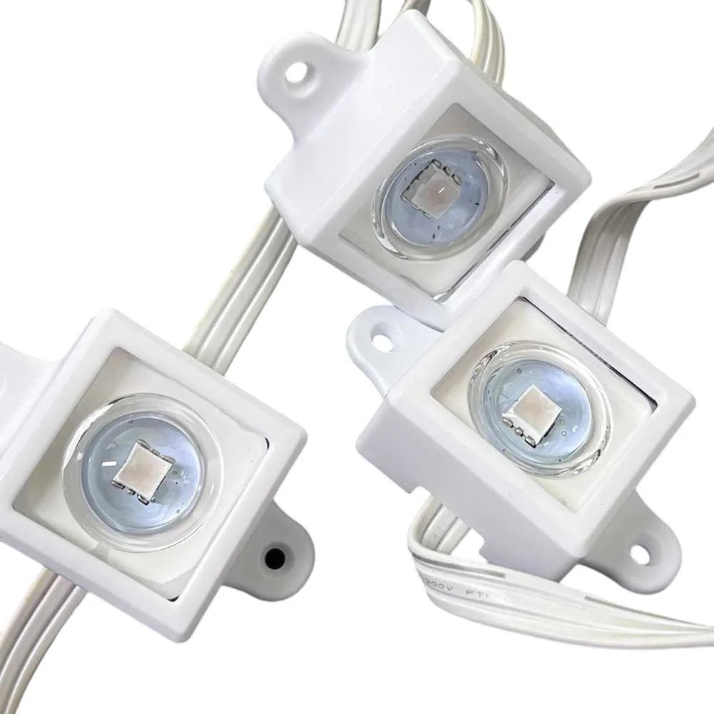 40/80個のフェスティバルライトクリップ 屋外装飾用 GO - Outdoor Lighting Govee のレビューと価格